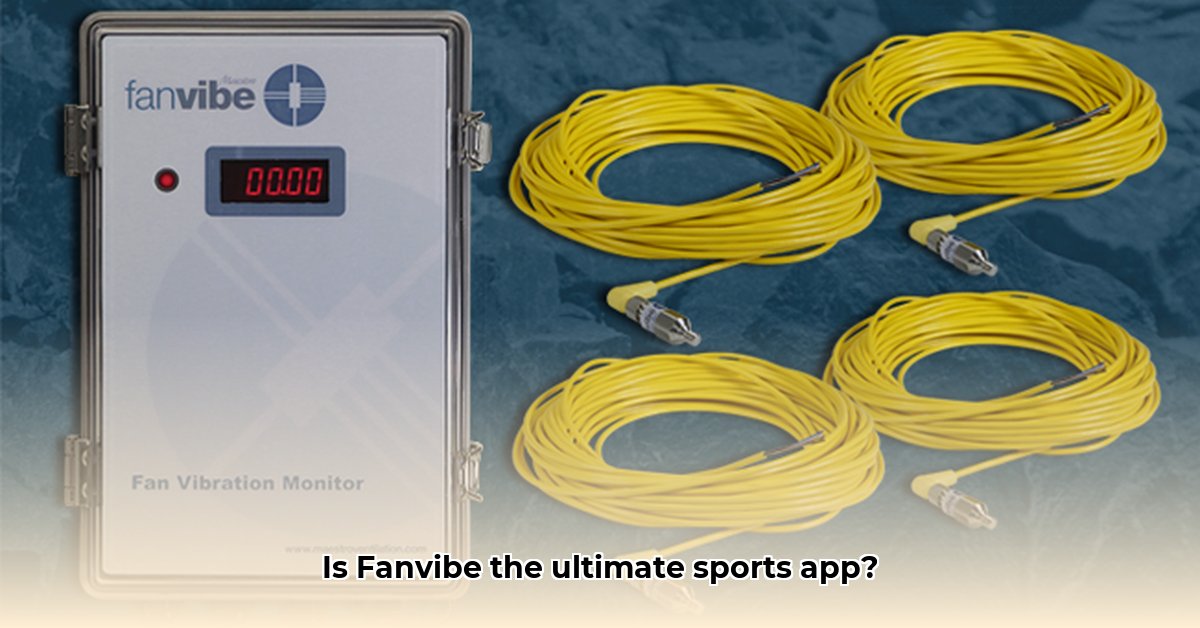 fanvibe
